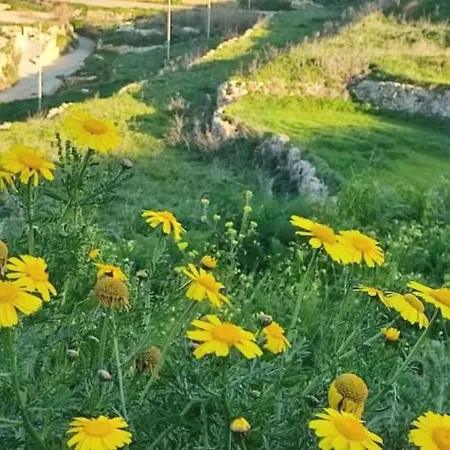 בית נופש Ir Razzett Ta Keiran Traditional 4 Bedroom Gozitan With Private Pool, En-suite Bathrooms Bbq In Għarb